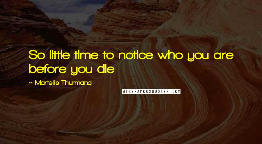Martellis Thurmand Quotes: So little time to notice who you are before you die