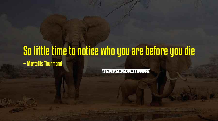 Martellis Thurmand Quotes: So little time to notice who you are before you die