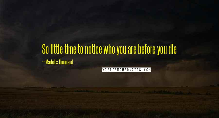 Martellis Thurmand Quotes: So little time to notice who you are before you die