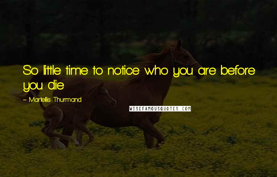 Martellis Thurmand Quotes: So little time to notice who you are before you die