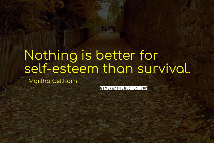 Martha Gellhorn Quotes: Nothing is better for self-esteem than survival.