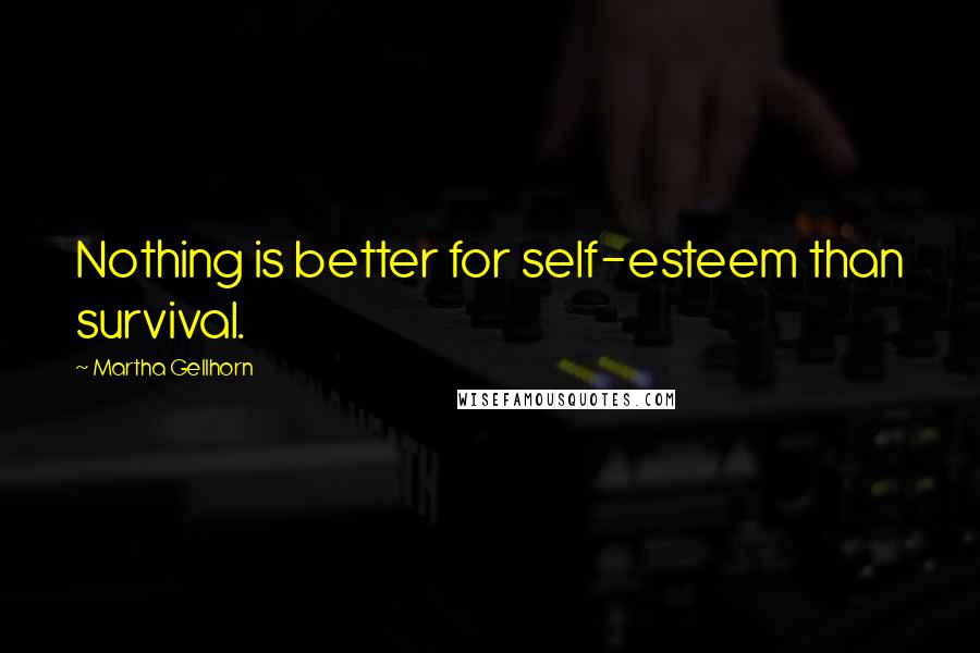 Martha Gellhorn Quotes: Nothing is better for self-esteem than survival.