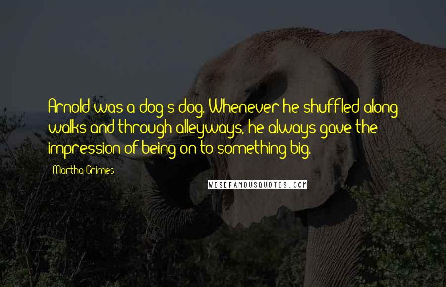 Martha Grimes Quotes: Arnold was a dog's dog. Whenever he shuffled along walks and through alleyways, he always gave the impression of being on to something big.