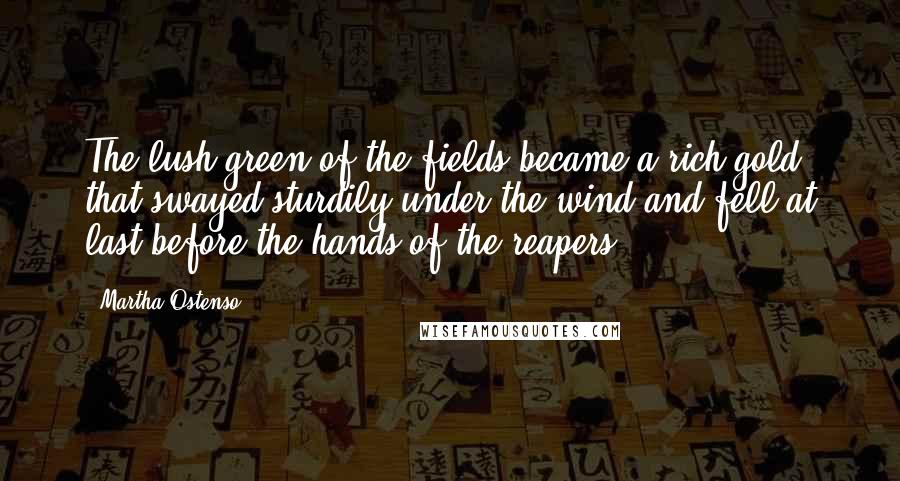 Martha Ostenso Quotes: The lush green of the fields became a rich gold that swayed sturdily under the wind and fell at last before the hands of the reapers.