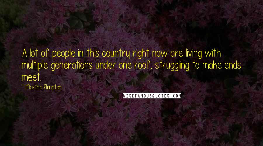 Martha Plimpton Quotes: A lot of people in this country right now are living with multiple generations under one roof, struggling to make ends meet.