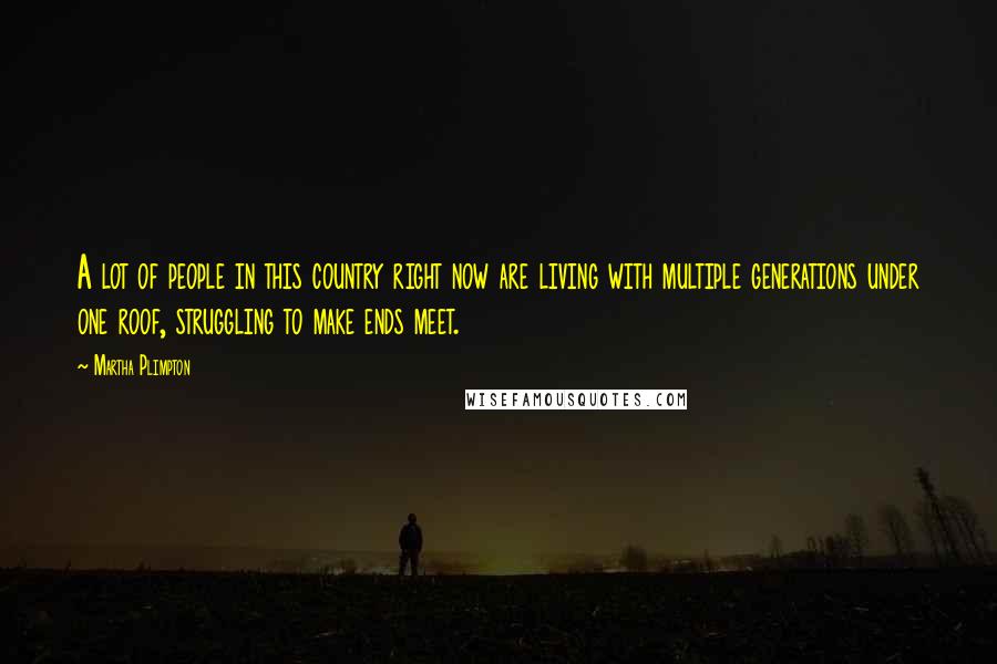 Martha Plimpton Quotes: A lot of people in this country right now are living with multiple generations under one roof, struggling to make ends meet.