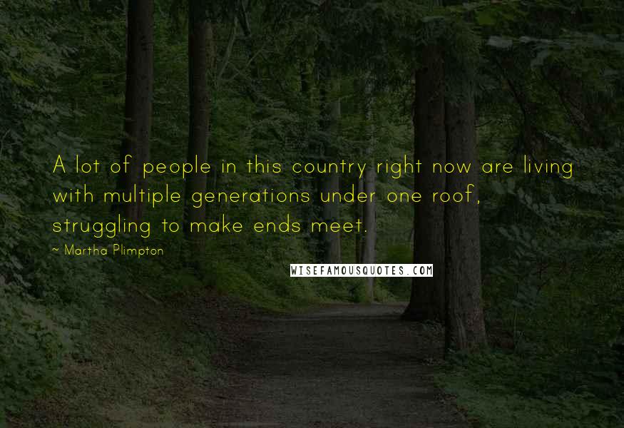 Martha Plimpton Quotes: A lot of people in this country right now are living with multiple generations under one roof, struggling to make ends meet.
