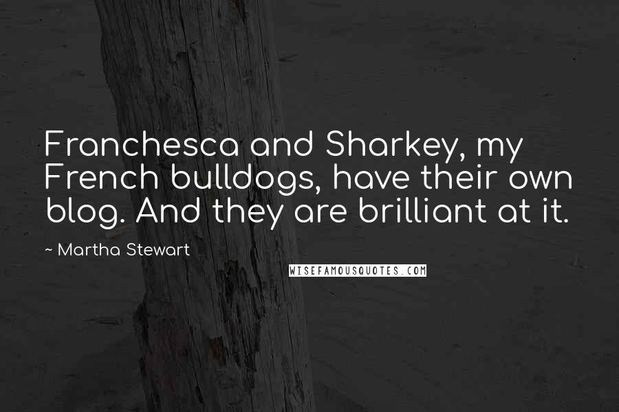 Martha Stewart Quotes: Franchesca and Sharkey, my French bulldogs, have their own blog. And they are brilliant at it.