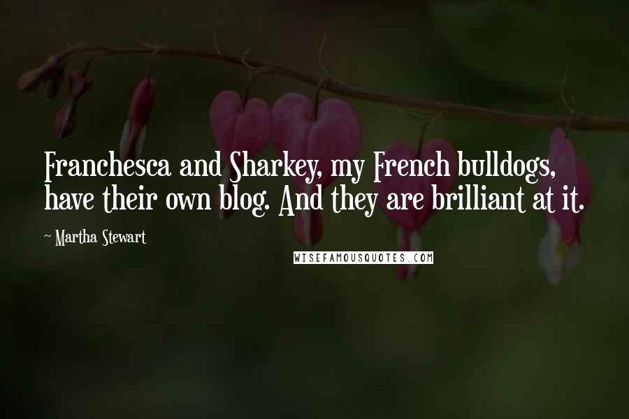 Martha Stewart Quotes: Franchesca and Sharkey, my French bulldogs, have their own blog. And they are brilliant at it.