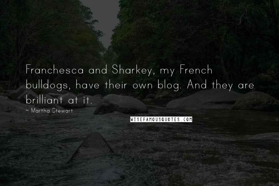 Martha Stewart Quotes: Franchesca and Sharkey, my French bulldogs, have their own blog. And they are brilliant at it.