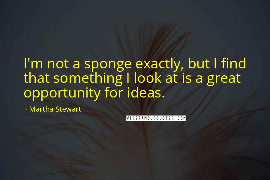 Martha Stewart Quotes: I'm not a sponge exactly, but I find that something I look at is a great opportunity for ideas.