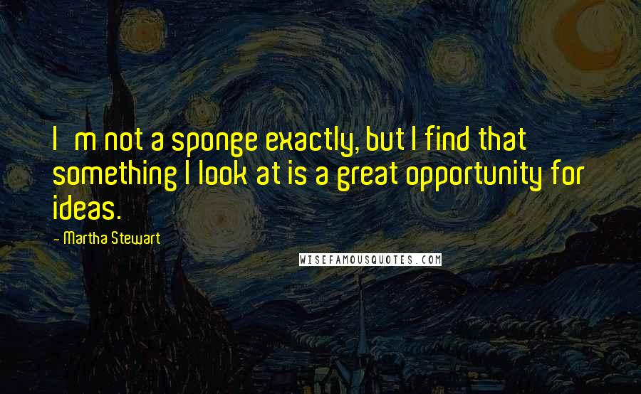 Martha Stewart Quotes: I'm not a sponge exactly, but I find that something I look at is a great opportunity for ideas.