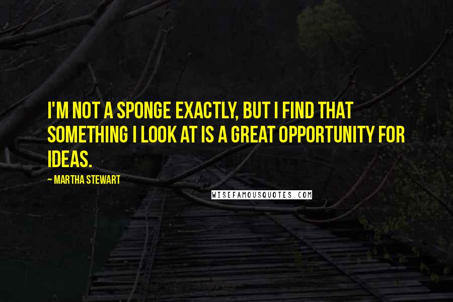 Martha Stewart Quotes: I'm not a sponge exactly, but I find that something I look at is a great opportunity for ideas.