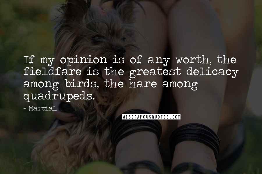 Martial Quotes: If my opinion is of any worth, the fieldfare is the greatest delicacy among birds, the hare among quadrupeds.