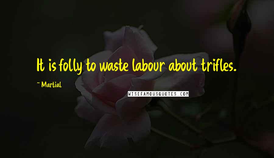 Martial Quotes: It is folly to waste labour about trifles.