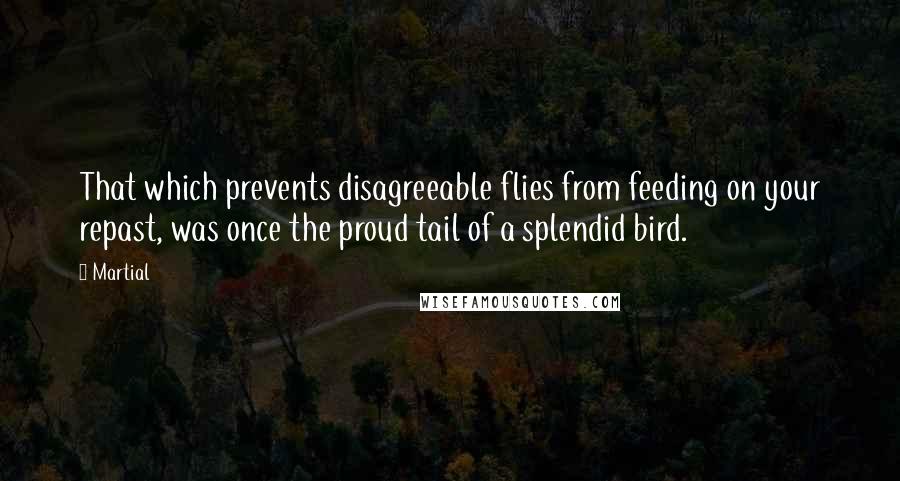 Martial Quotes: That which prevents disagreeable flies from feeding on your repast, was once the proud tail of a splendid bird.