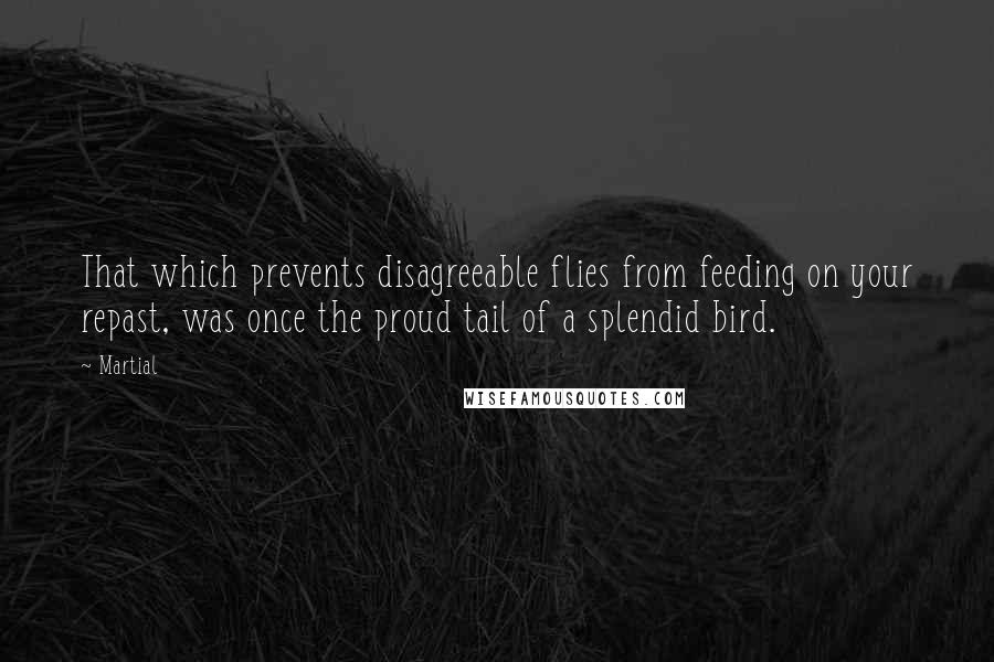 Martial Quotes: That which prevents disagreeable flies from feeding on your repast, was once the proud tail of a splendid bird.