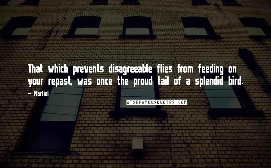 Martial Quotes: That which prevents disagreeable flies from feeding on your repast, was once the proud tail of a splendid bird.