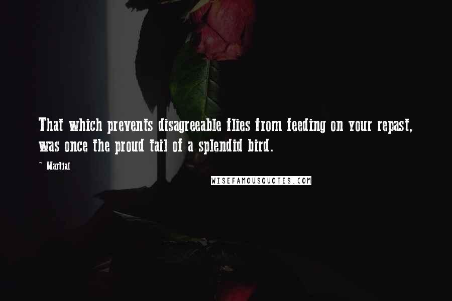 Martial Quotes: That which prevents disagreeable flies from feeding on your repast, was once the proud tail of a splendid bird.