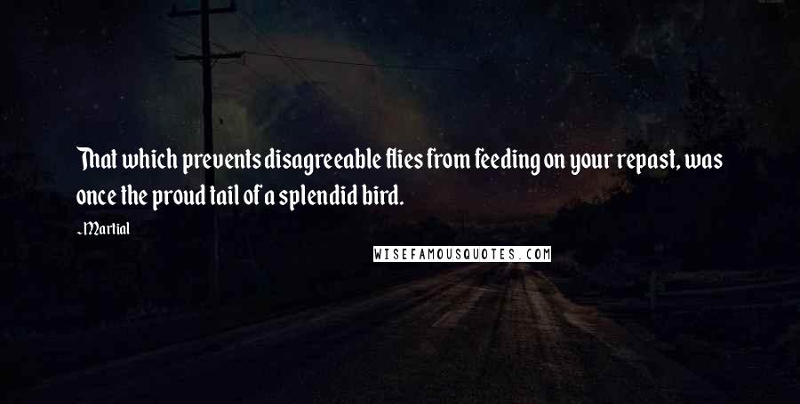 Martial Quotes: That which prevents disagreeable flies from feeding on your repast, was once the proud tail of a splendid bird.