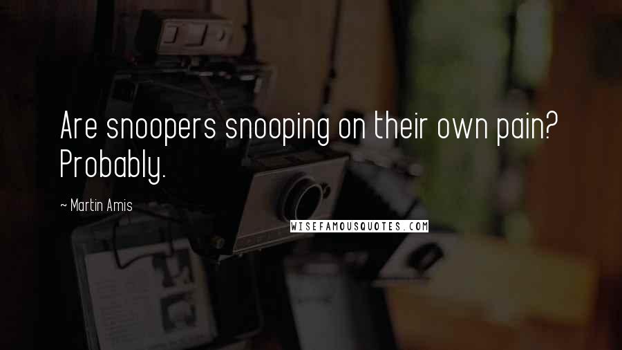Martin Amis Quotes: Are snoopers snooping on their own pain? Probably.