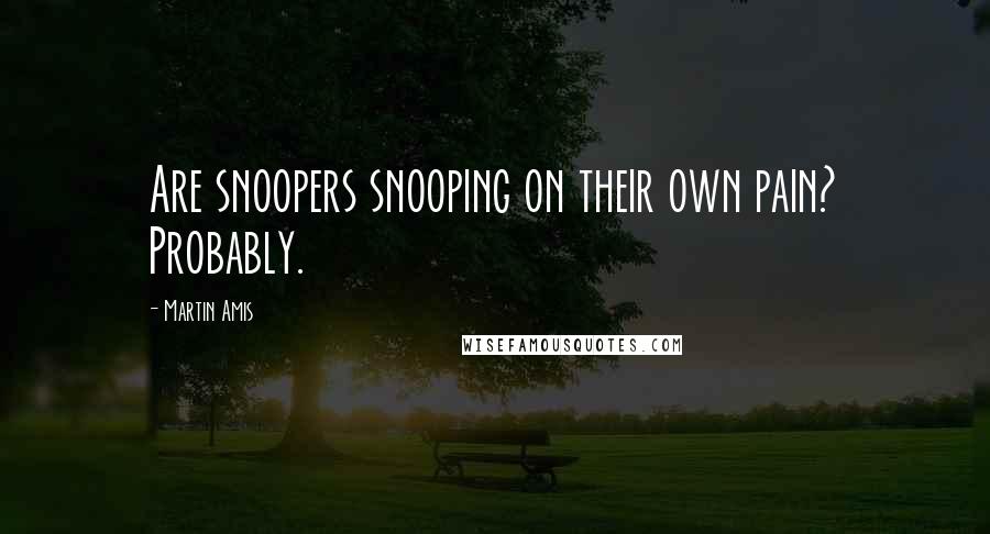 Martin Amis Quotes: Are snoopers snooping on their own pain? Probably.