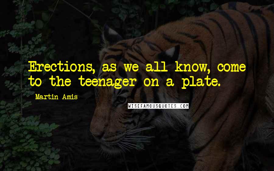 Martin Amis Quotes: Erections, as we all know, come to the teenager on a plate.