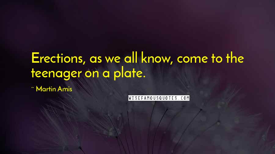 Martin Amis Quotes: Erections, as we all know, come to the teenager on a plate.