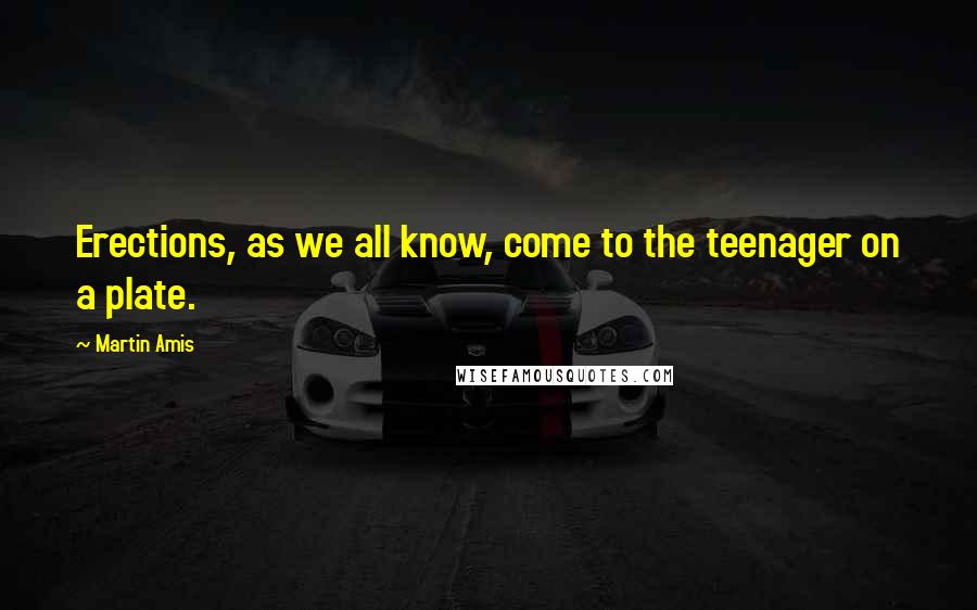 Martin Amis Quotes: Erections, as we all know, come to the teenager on a plate.