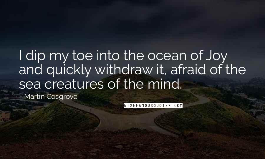 Martin Cosgrove Quotes: I dip my toe into the ocean of Joy and quickly withdraw it, afraid of the sea creatures of the mind.