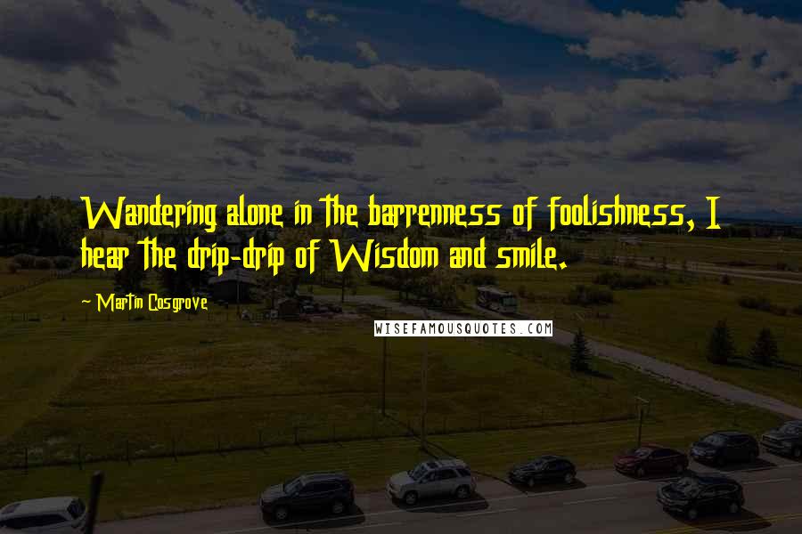 Martin Cosgrove Quotes: Wandering alone in the barrenness of foolishness, I hear the drip-drip of Wisdom and smile.