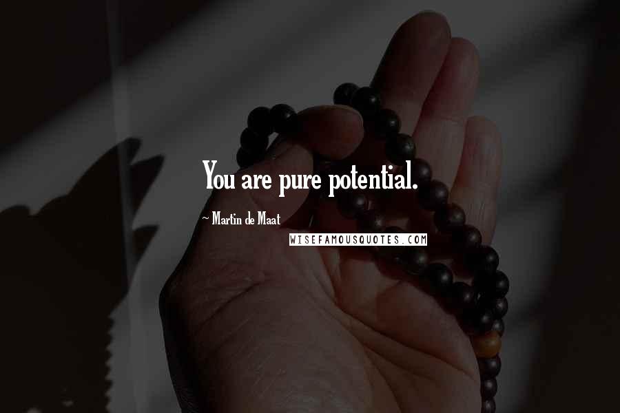 Martin De Maat Quotes: You are pure potential.