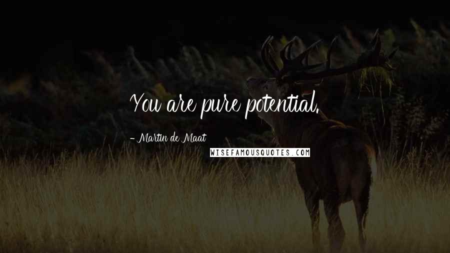 Martin De Maat Quotes: You are pure potential.