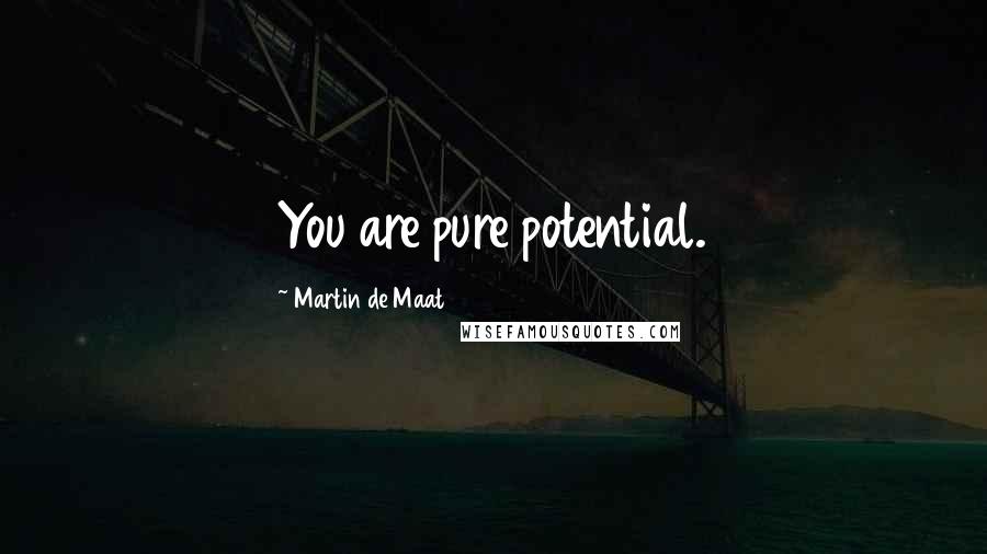 Martin De Maat Quotes: You are pure potential.