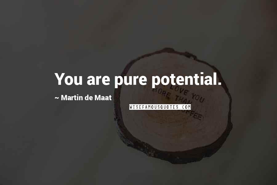 Martin De Maat Quotes: You are pure potential.