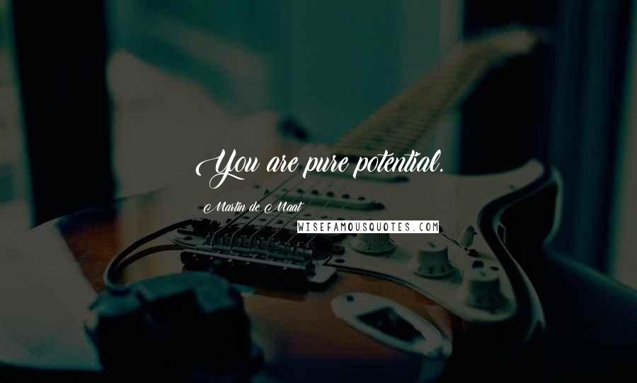 Martin De Maat Quotes: You are pure potential.