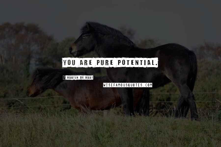 Martin De Maat Quotes: You are pure potential.