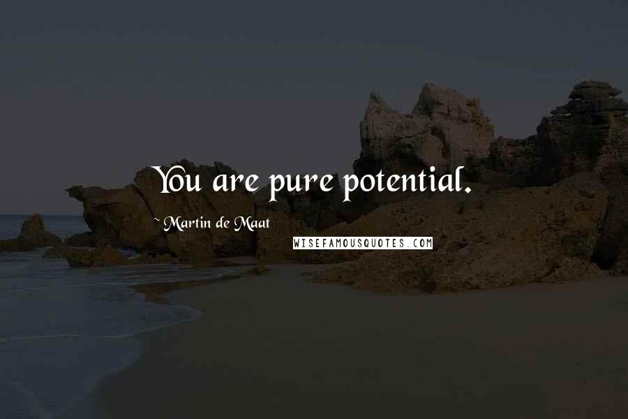 Martin De Maat Quotes: You are pure potential.