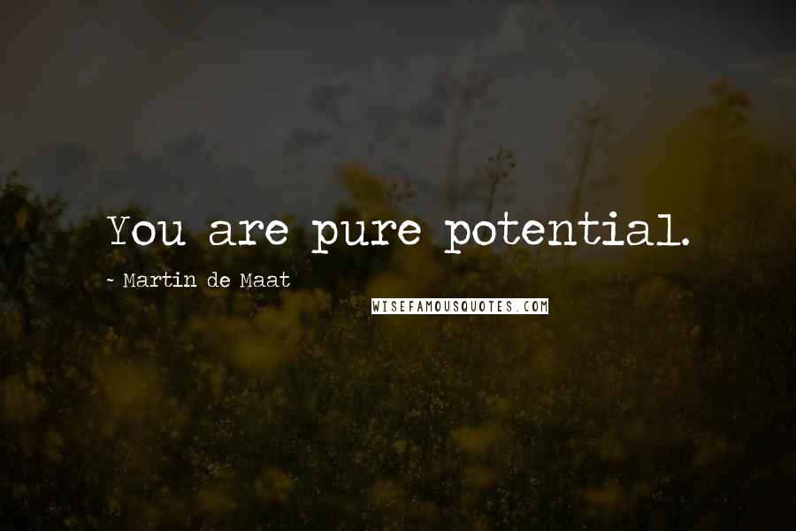 Martin De Maat Quotes: You are pure potential.