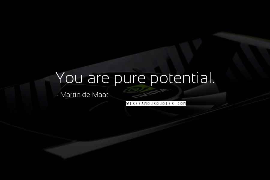 Martin De Maat Quotes: You are pure potential.