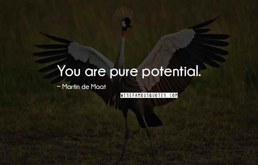 Martin De Maat Quotes: You are pure potential.