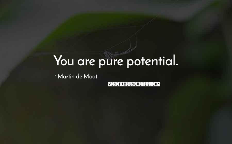 Martin De Maat Quotes: You are pure potential.