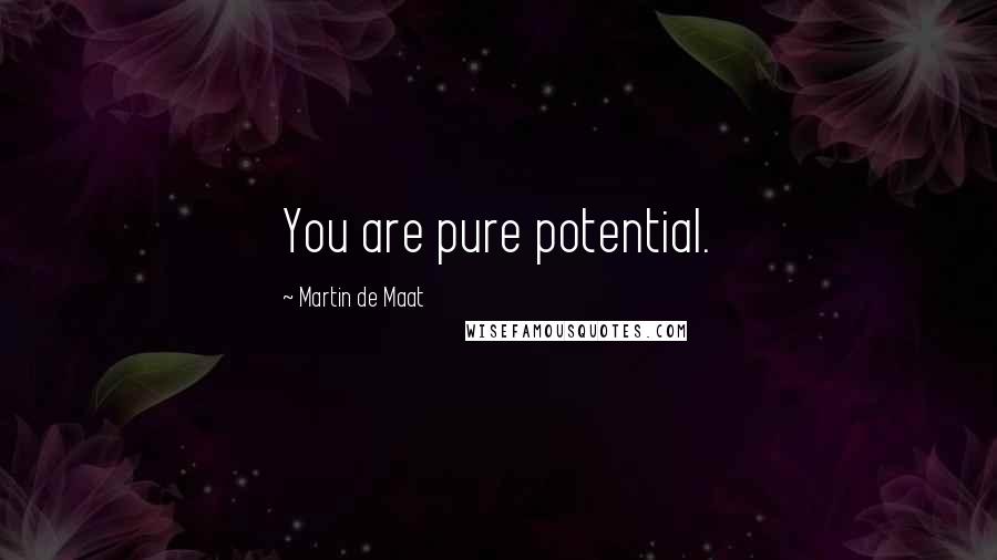 Martin De Maat Quotes: You are pure potential.