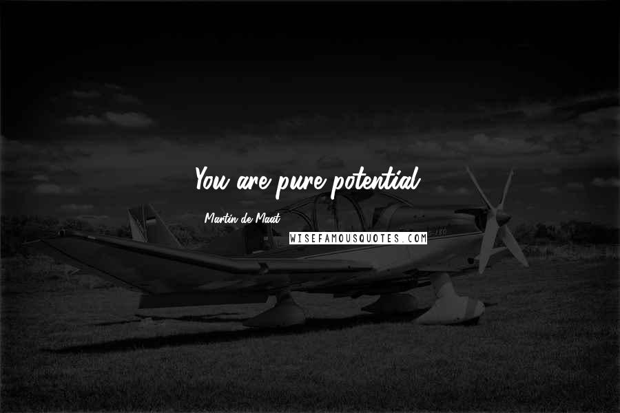 Martin De Maat Quotes: You are pure potential.