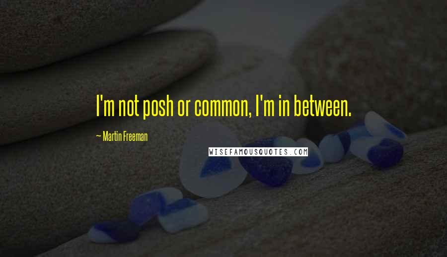 Martin Freeman Quotes: I'm not posh or common, I'm in between.