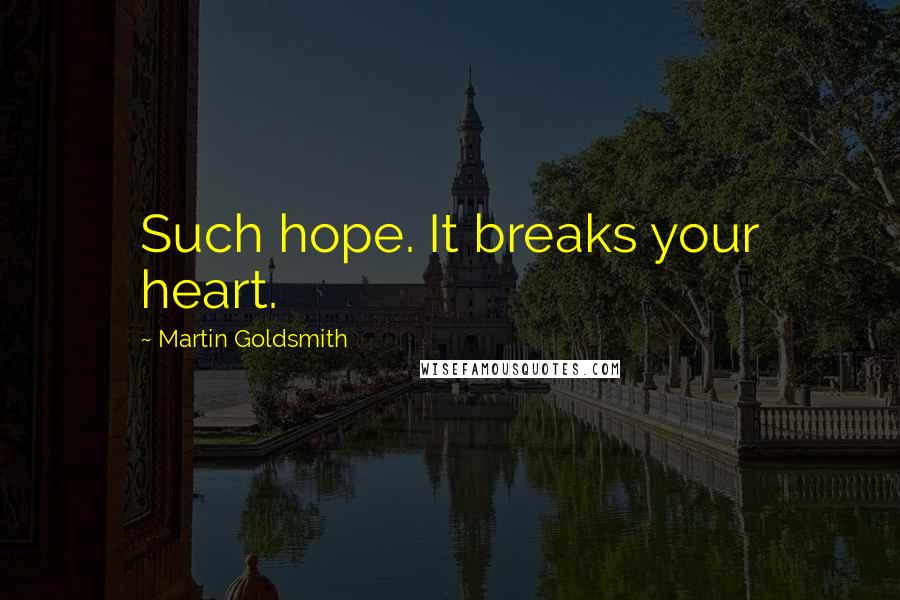 Martin Goldsmith Quotes: Such hope. It breaks your heart.