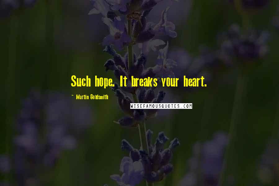 Martin Goldsmith Quotes: Such hope. It breaks your heart.