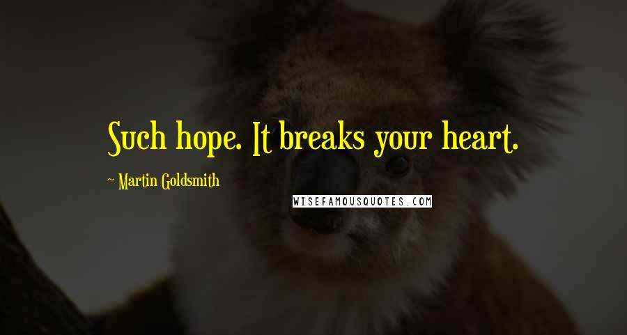Martin Goldsmith Quotes: Such hope. It breaks your heart.