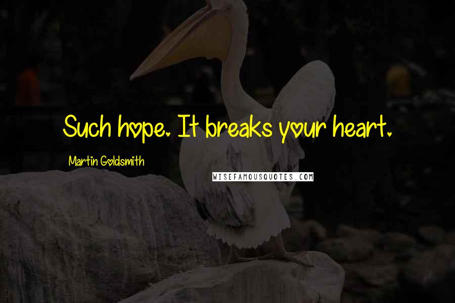 Martin Goldsmith Quotes: Such hope. It breaks your heart.