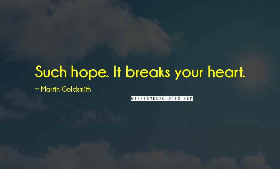 Martin Goldsmith Quotes: Such hope. It breaks your heart.